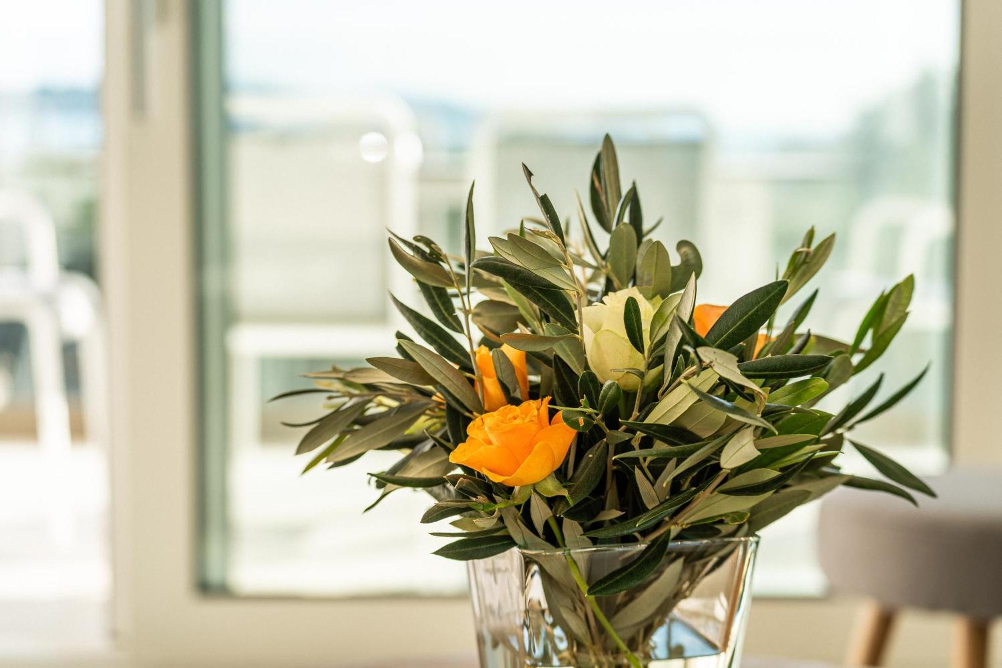 O'Life Boutique Apartments Vodice Zewnętrze zdjęcie